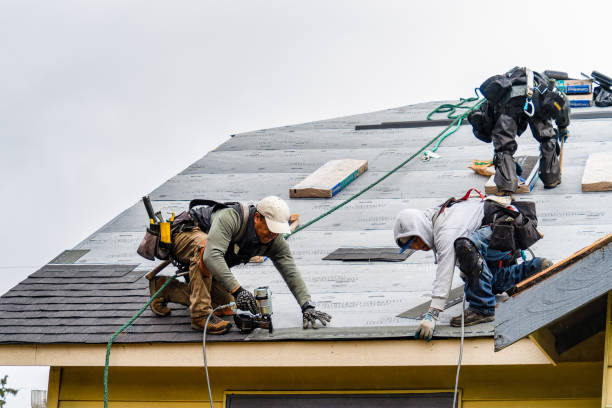 Professional Gutter Installation technician working in Georgetown, KY